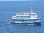 snorkel boat.jpg (28608 bytes)