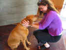 larisa and stryker dog.jpg (181071 bytes)