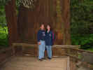o and l at muir woods.jpg (143510 bytes)